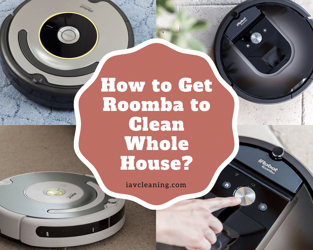How to Get Roomba to Clean Whole House? | IAV Cleaning
