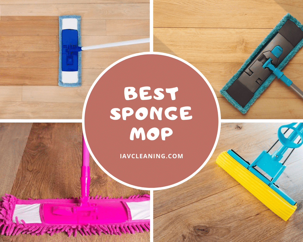 Best Sponge Mop