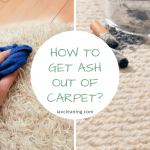 How To Get Ash Out Of Carpet?