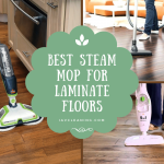 Best Steam Mop For Hardwood Floors 2020 Reviews Iav Cleaning