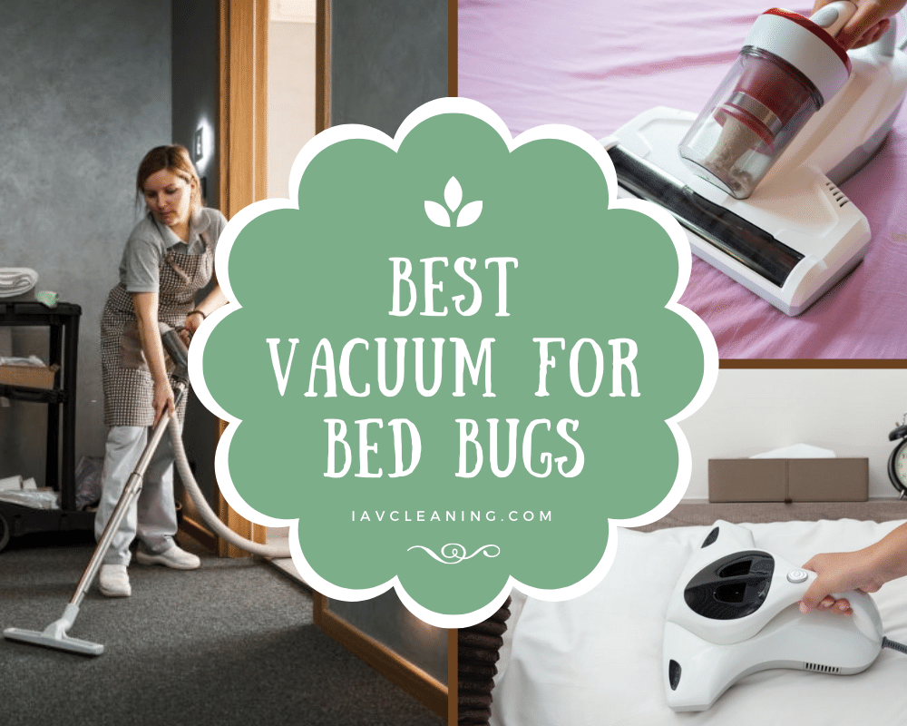 Best Vacuum For Bed Bugs