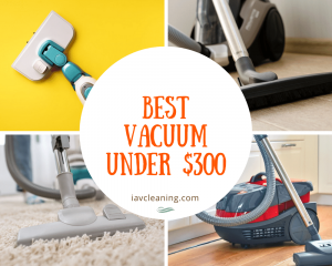 Best Vacuum Under $300